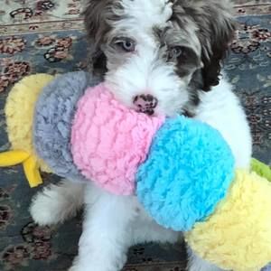 Meet your Posher, Marilynn